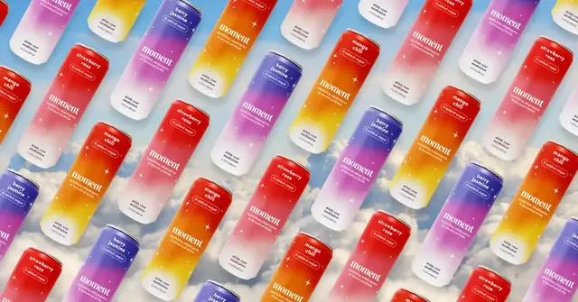Sparkling Variety Pack [24 Pack] 